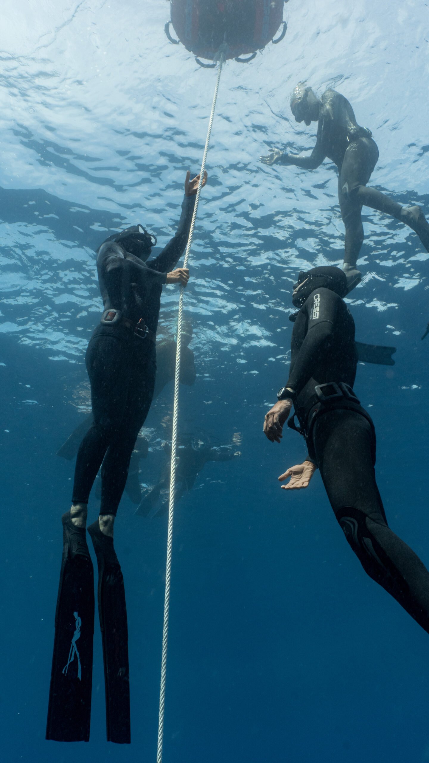 Inmersión en equipo