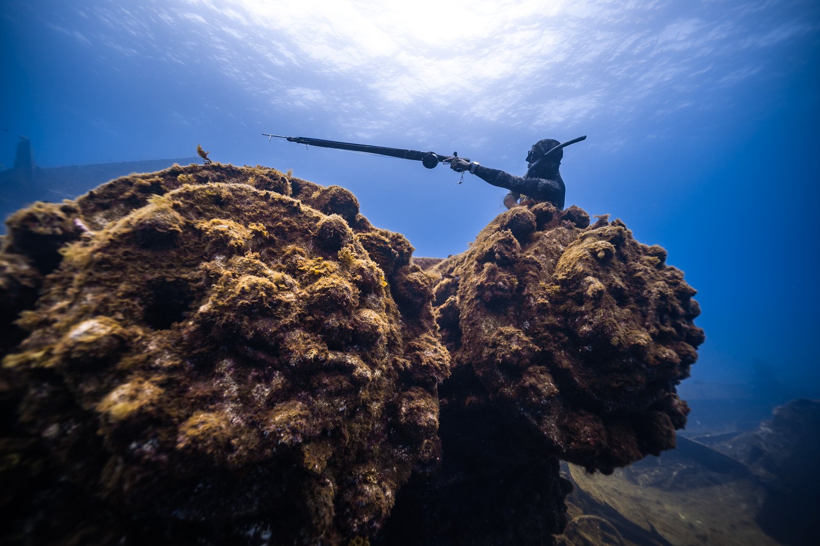 Pescador submarino con arpón en aguas de Gran Canaria