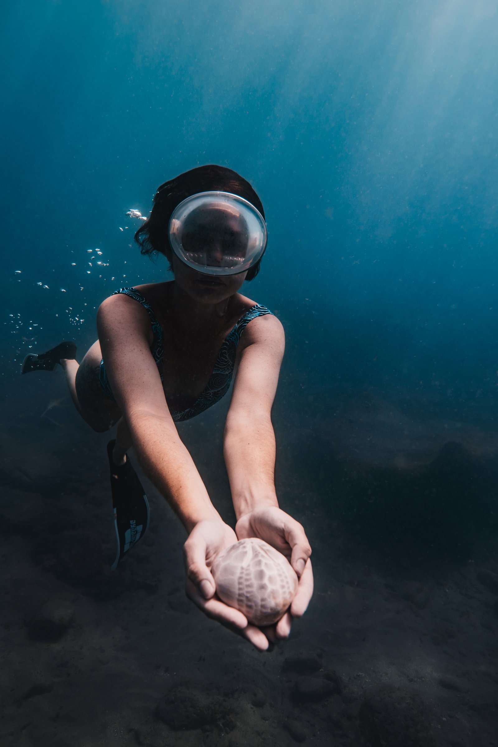 Fotografía subacuática de apnea