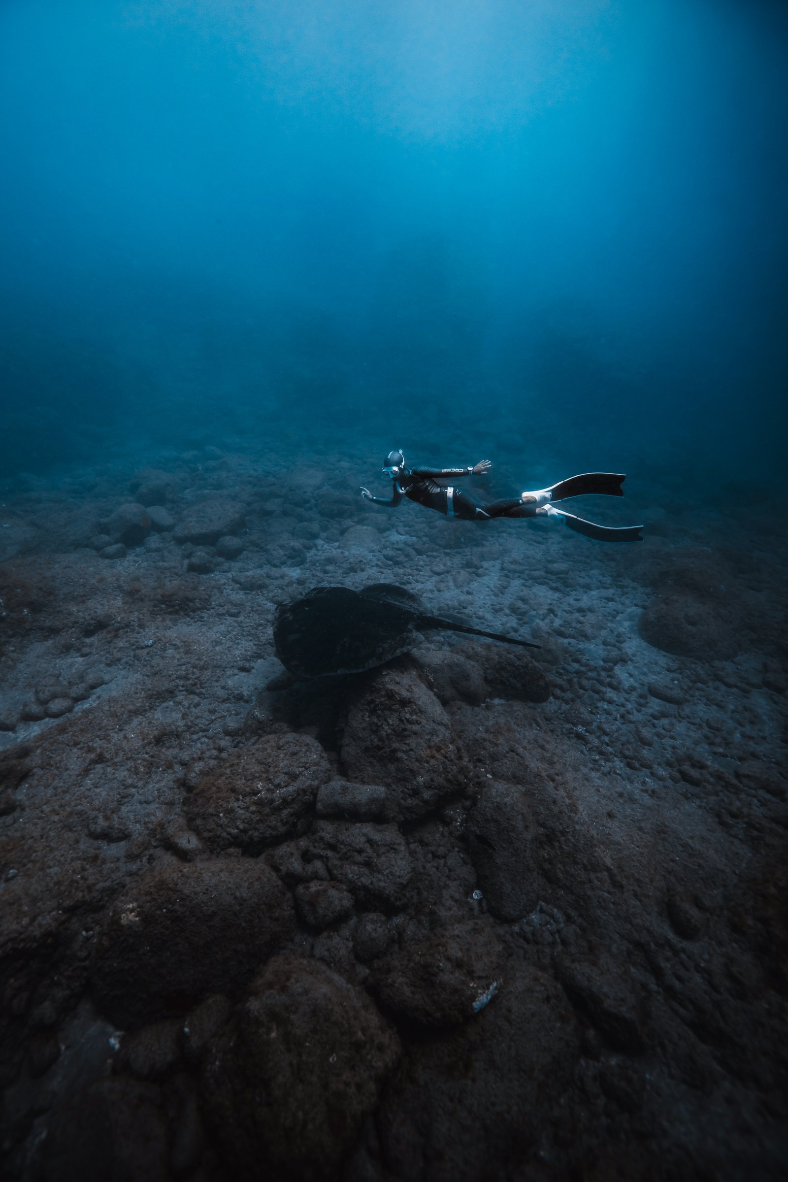 Artistic freediving photograph by Alessio Sera