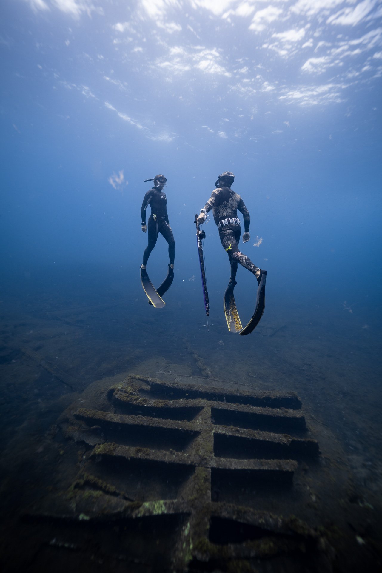 Salida guiada de spearfishing