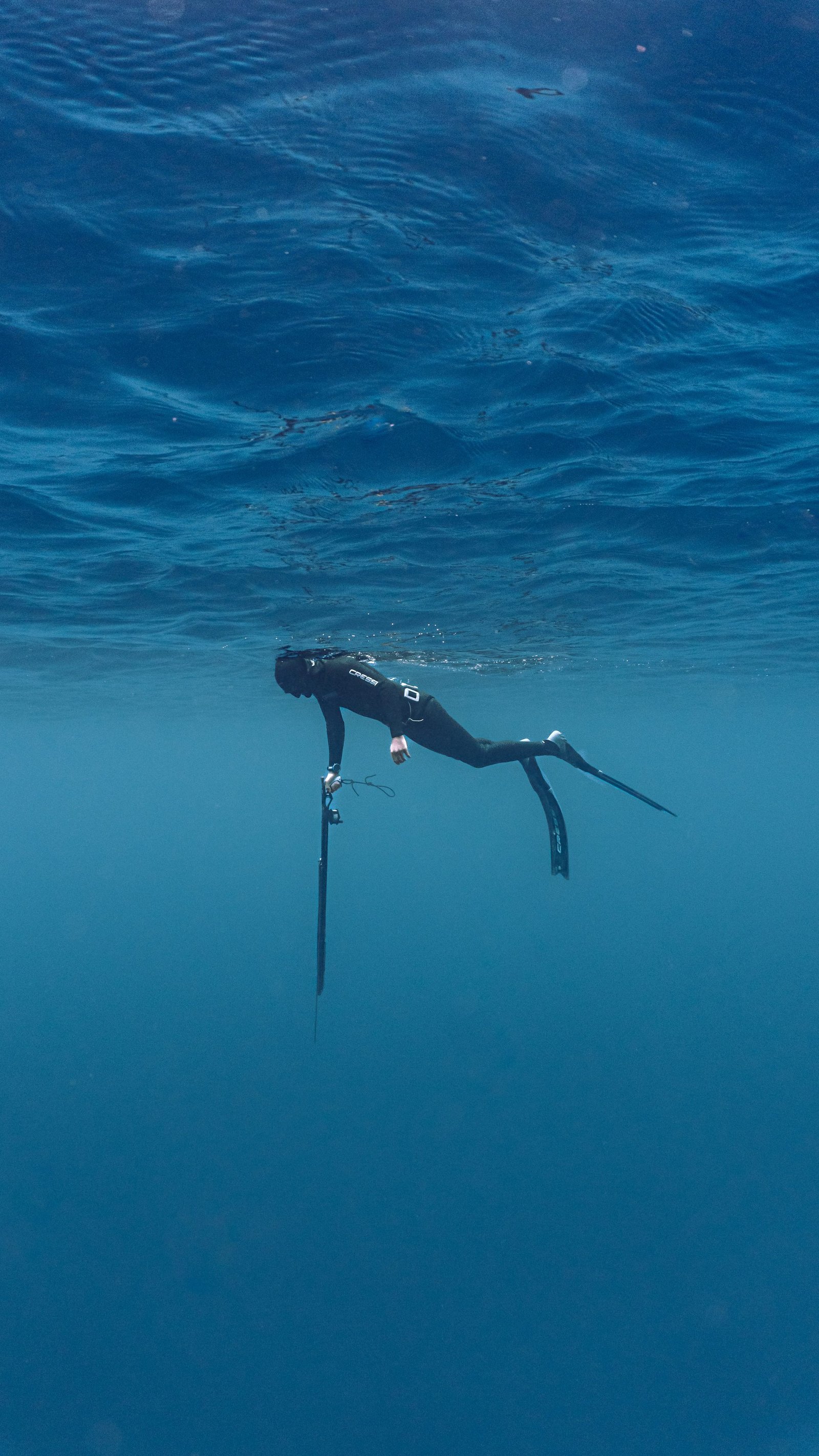 Salida guiada de pesca submarina