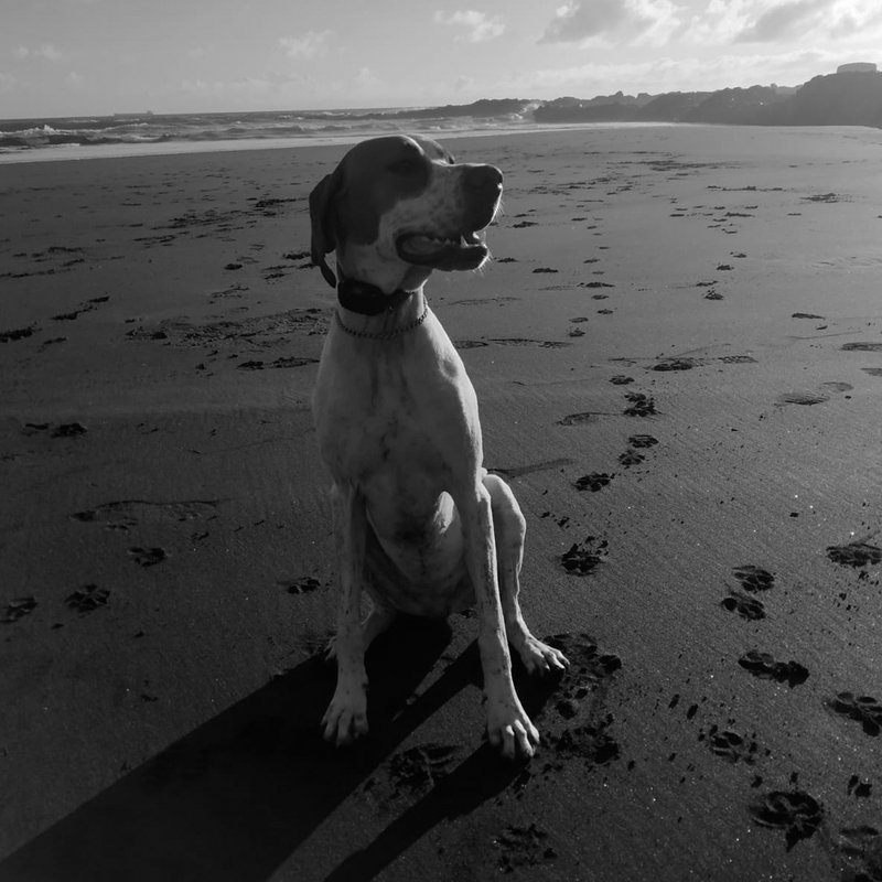 Trudy, the Subzone mascot